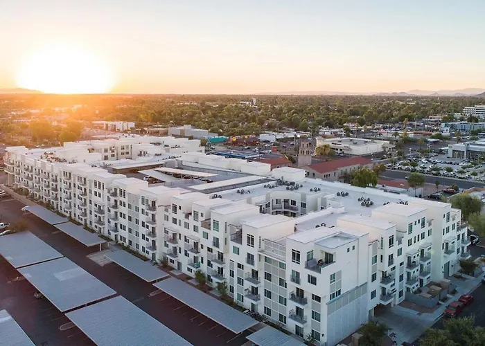Modern Cozysuites - Paradise Under The Palm Trees!